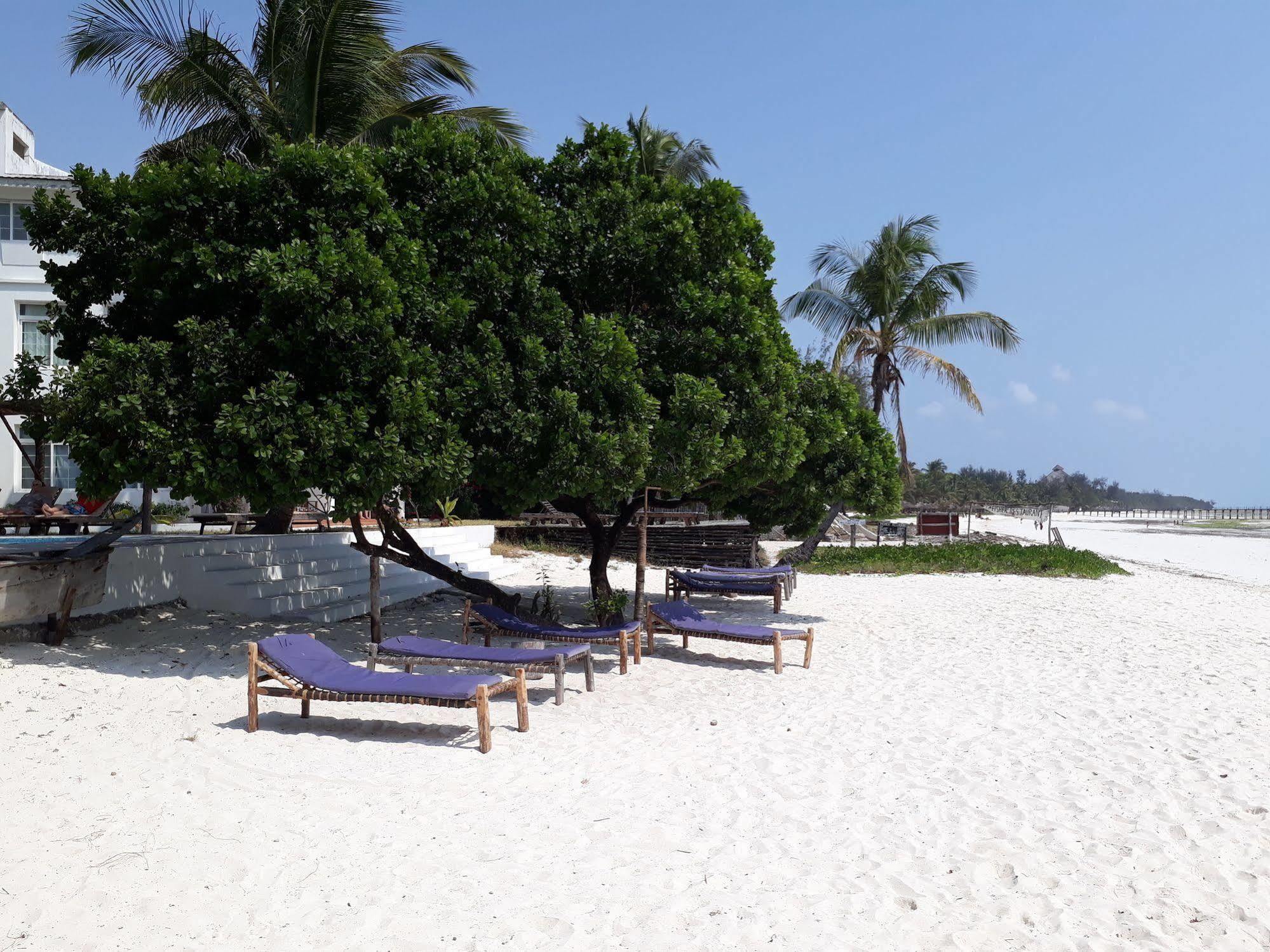 Albatross Ocean View Hotel Dongwe Exterior foto