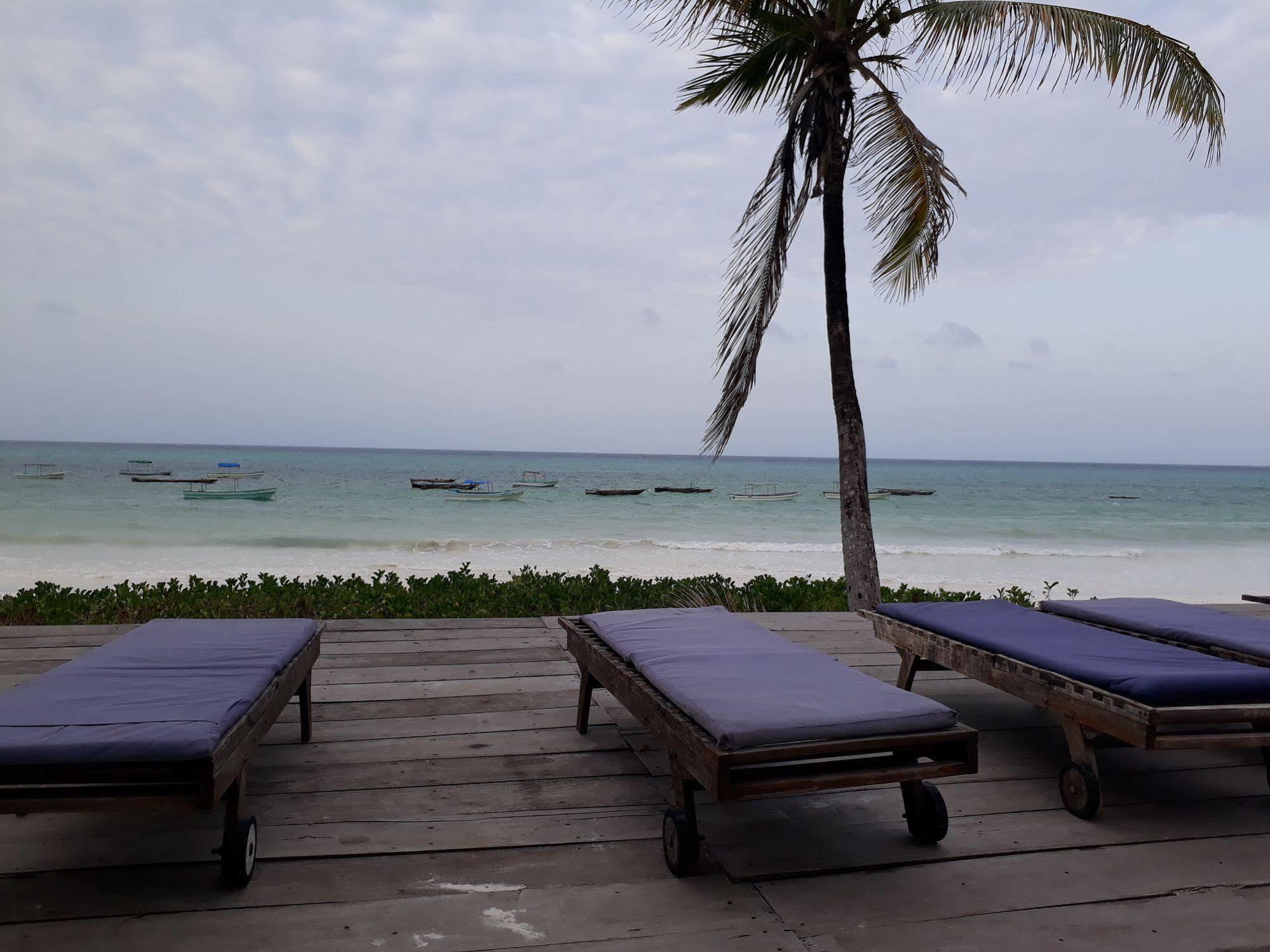 Albatross Ocean View Hotel Dongwe Exterior foto