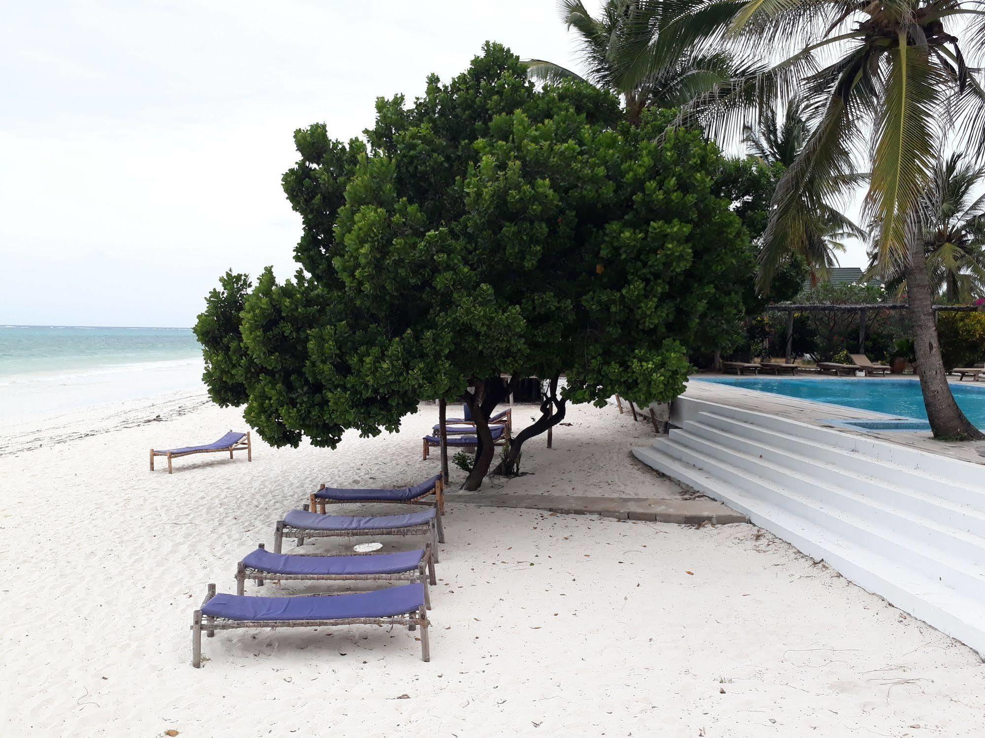 Albatross Ocean View Hotel Dongwe Exterior foto